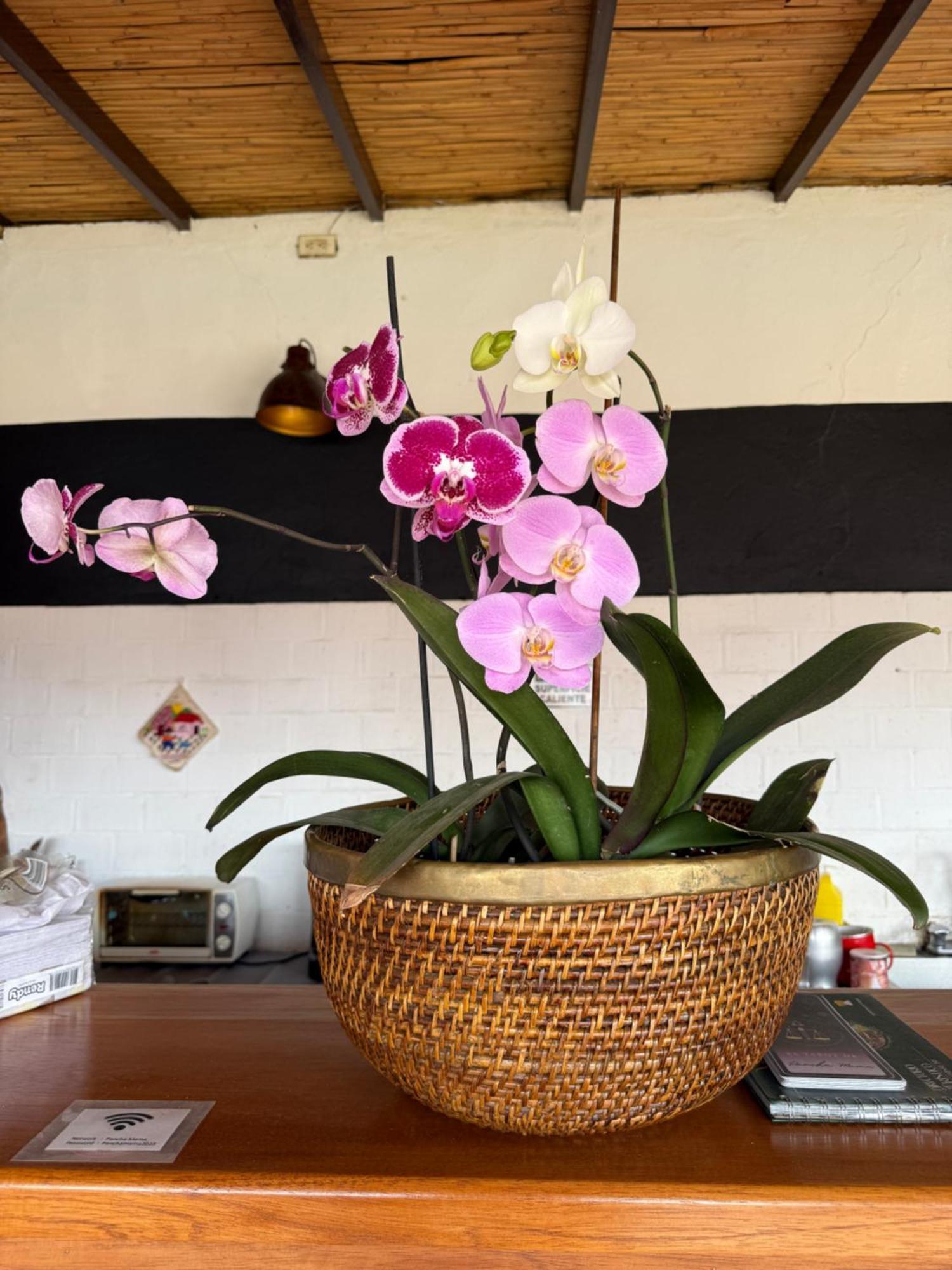 Pancha Mama Hotel Boutique Villa de Leyva Dış mekan fotoğraf